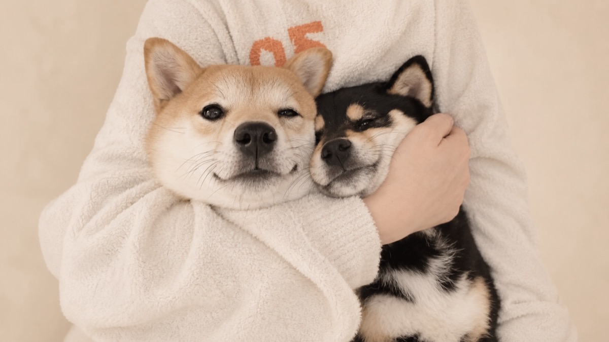 2頭の犬を抱きかかえる飼い主